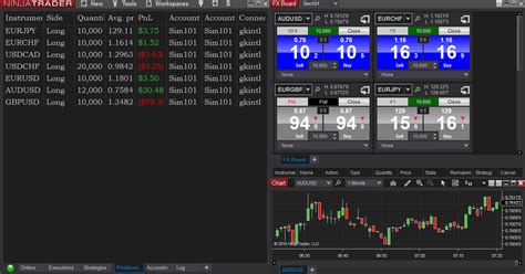 ninjatrader simulator review